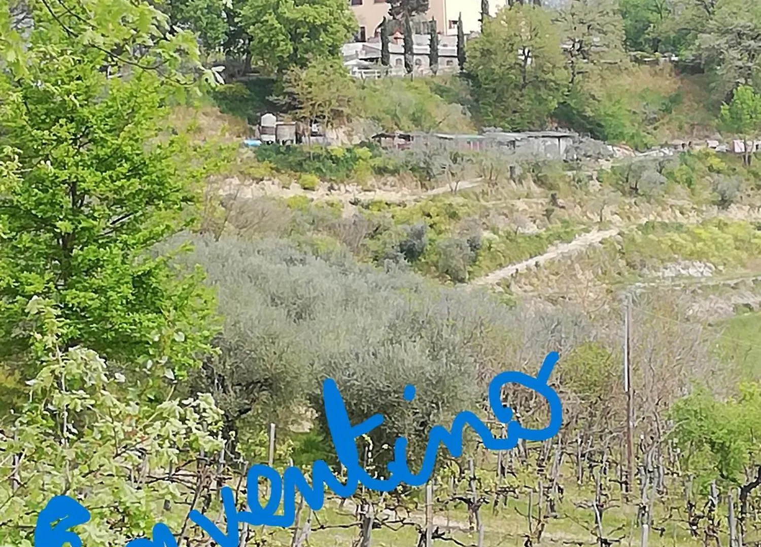 Holiday home Il Conventino Tra Chianti Arezzo E Firenze Villa Terranuova Bracciolini Italy