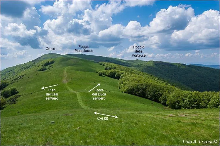 Il Conventino Tra Chianti Arezzo E Firenze Villa Terranuova Bracciolini Holiday home